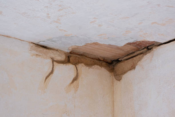 Carpet water damage restoration in Hampton Manor, NY